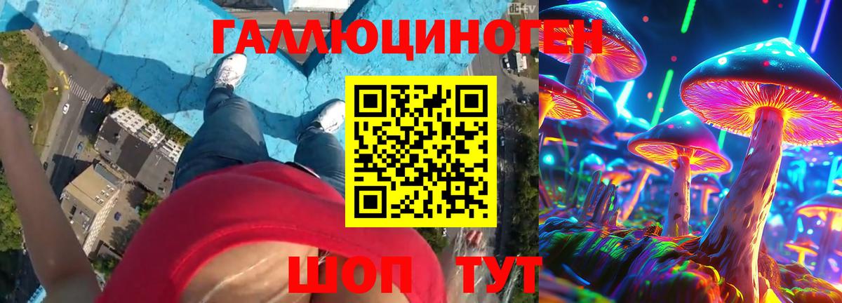Кимры  Галлюциногенные грибы GOLDEN TEACHER  Вход с VPN 