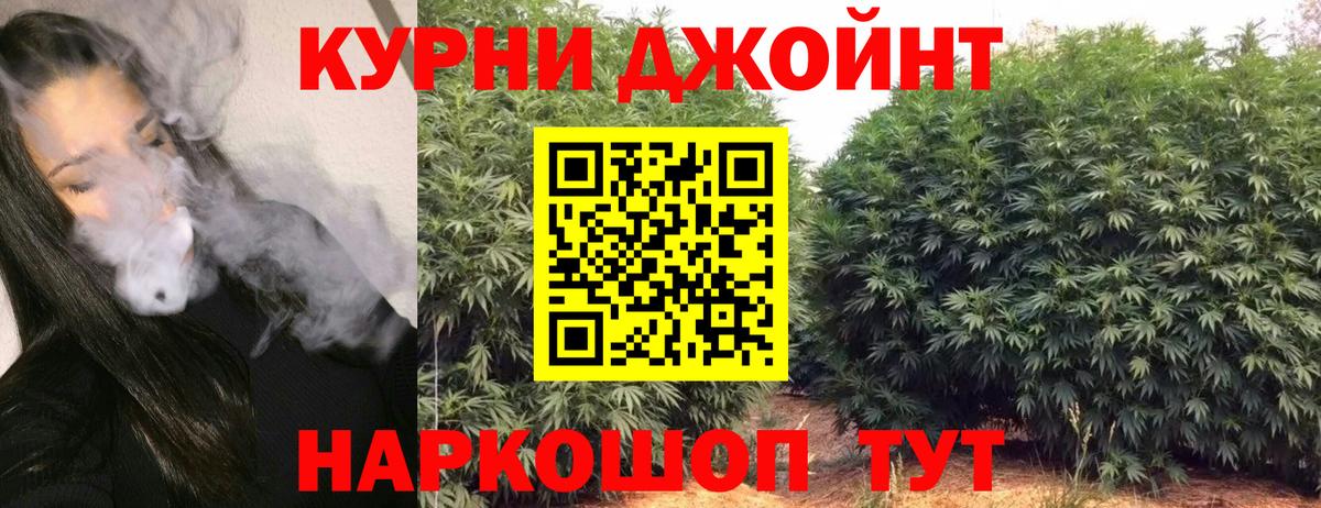 Каннабис планчик  Бошки марихуана индика  Вход с VPN  Бошки Шишки конопля  Кимры 